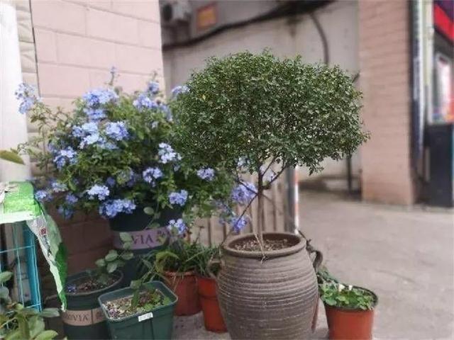 太原小店最新招聘信息全面概览