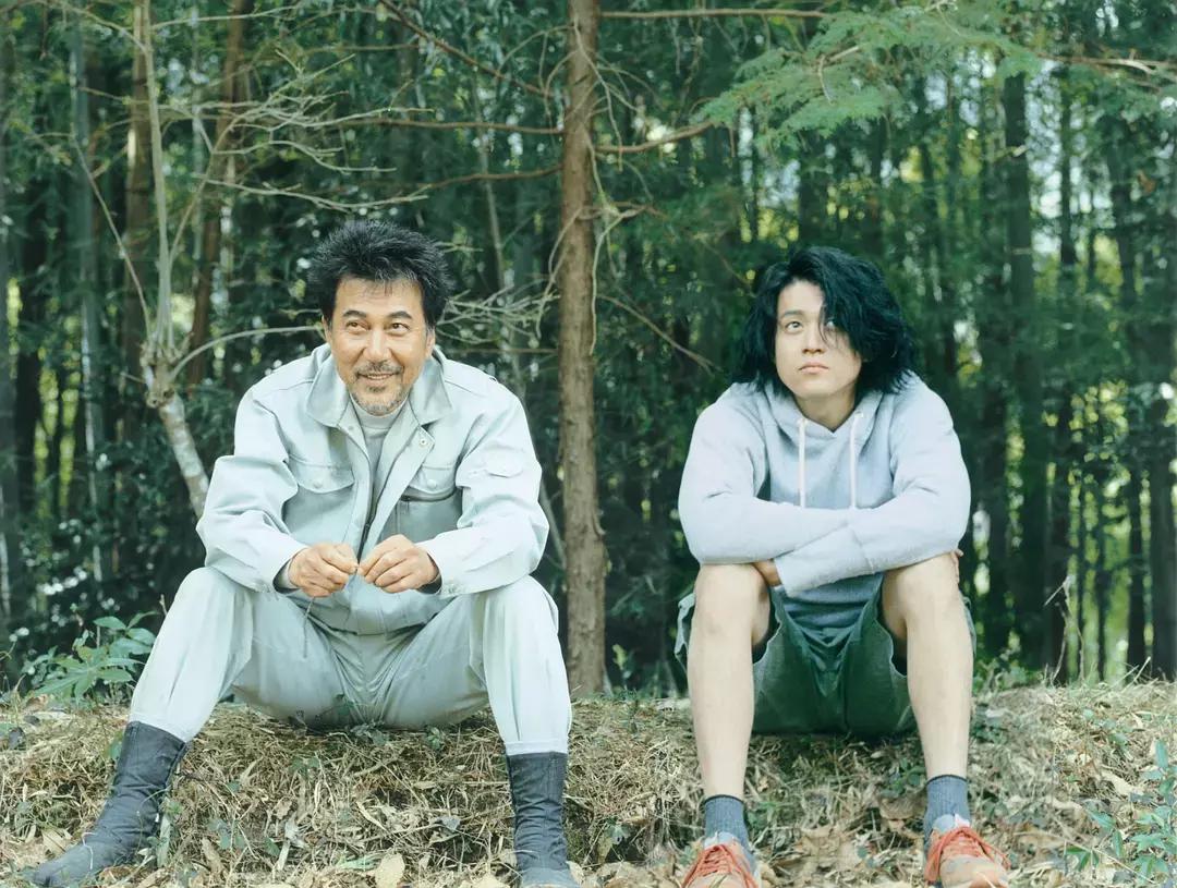 啄木鸟最新影片下载，享受温馨电影时光